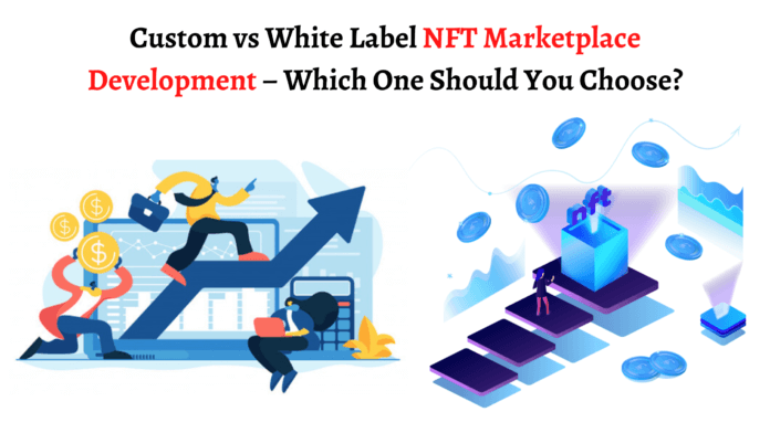 Custom vs White Label NFT Marketplace Development – Which One Should You Choose?